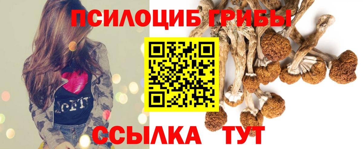 Кропоткин  Галлюциногенные грибы Psilocybe  Псилоцибиновые грибы GOLDEN TEACHER  Вход с VPN 